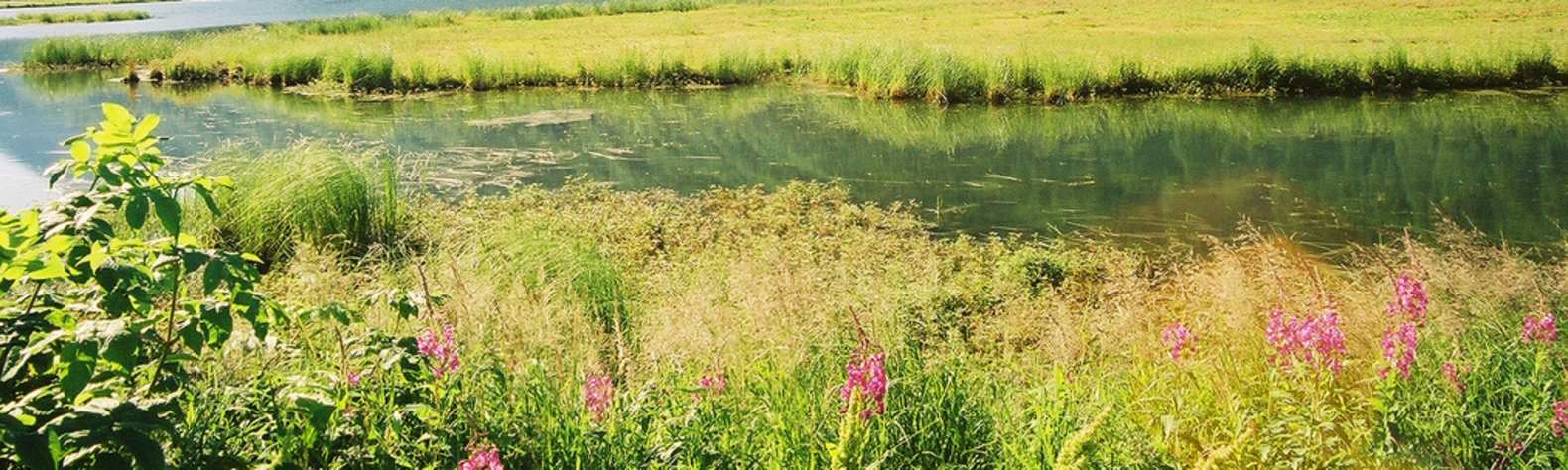 Kenai River Special Management Area