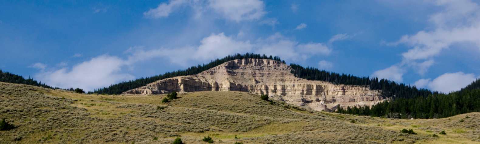 Bighorn National Forest