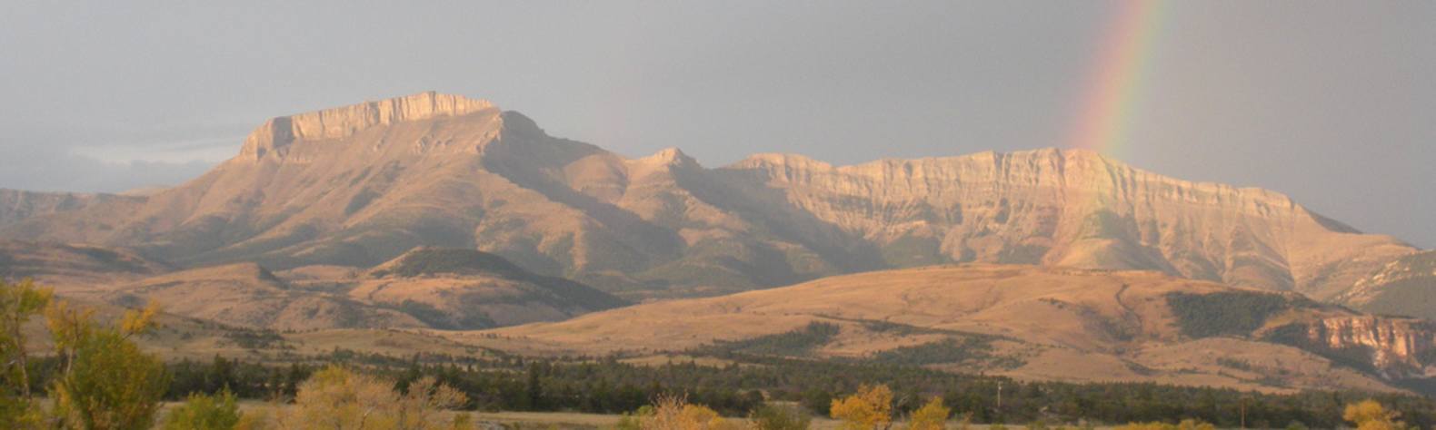 Lewis and Clark National Forest