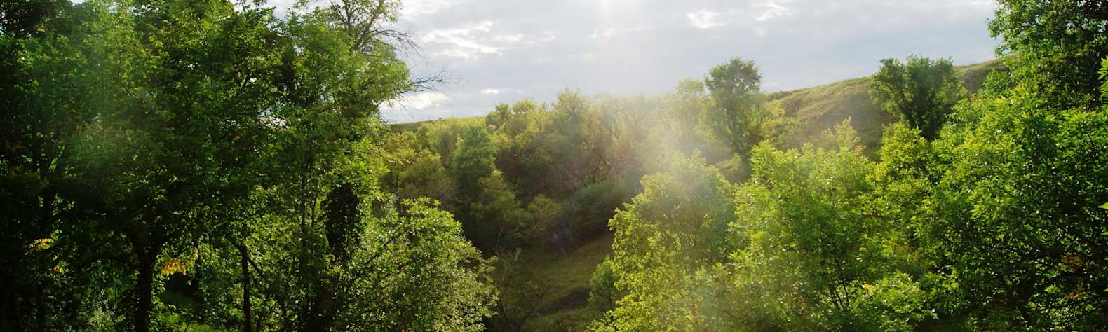 Pierson Ranch Recreation Area
