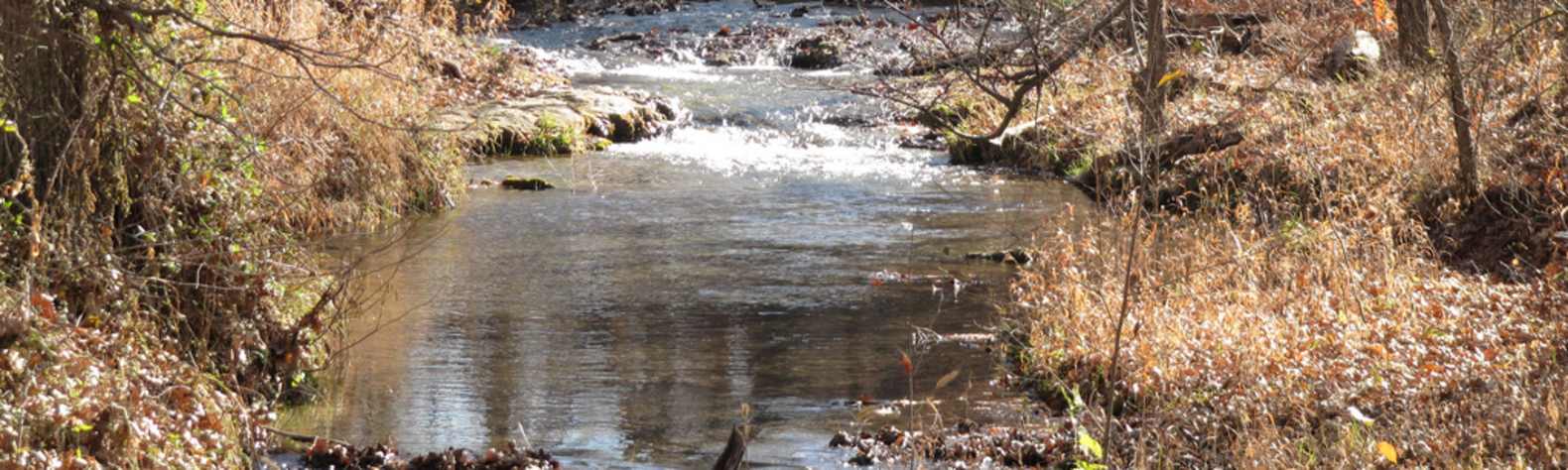 Chickasaw National Recreation Area