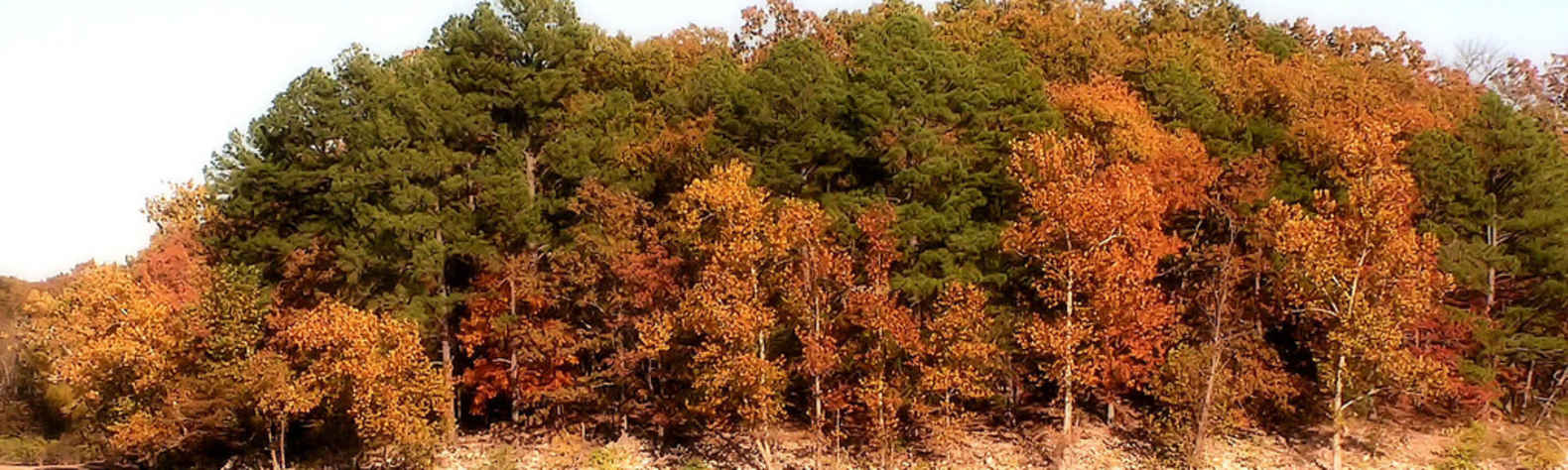 Honey Creek State Park OK