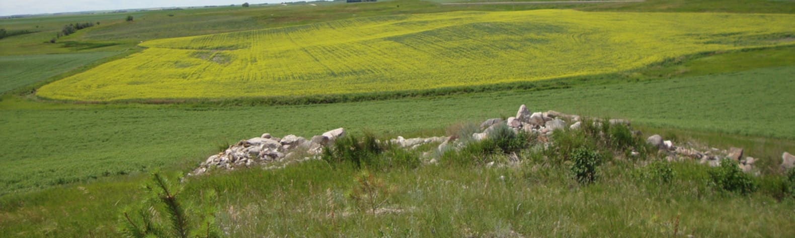 Dakota Prairie Grasslands
