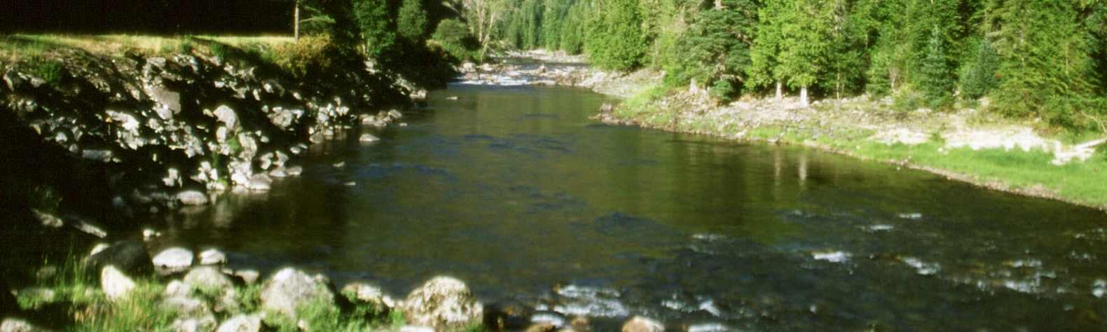Nez Perce-Clearwater National Forests