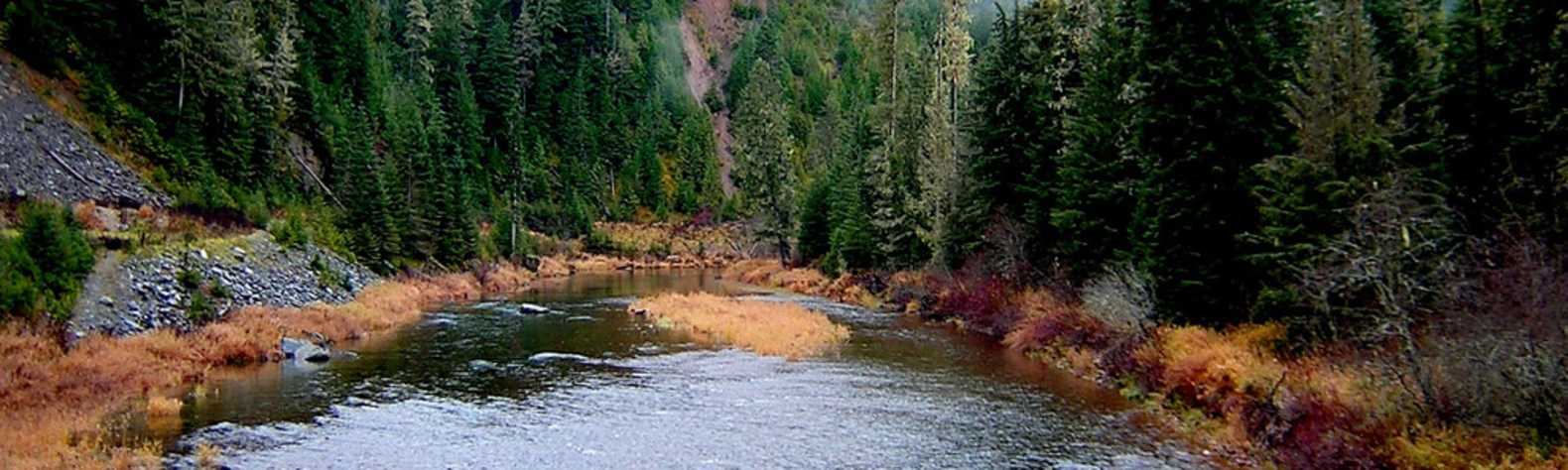 Coeur d'Alene River Campground and Picnic Areas