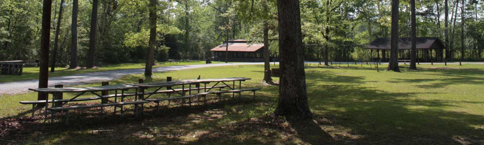 Chickasaw State Park AL