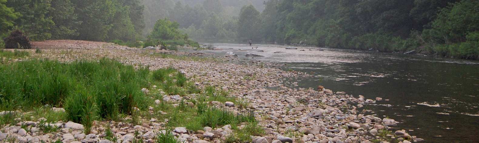 Monongahela National Forest
