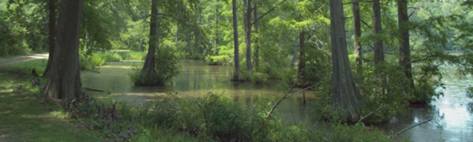 Wall Doxey State Park