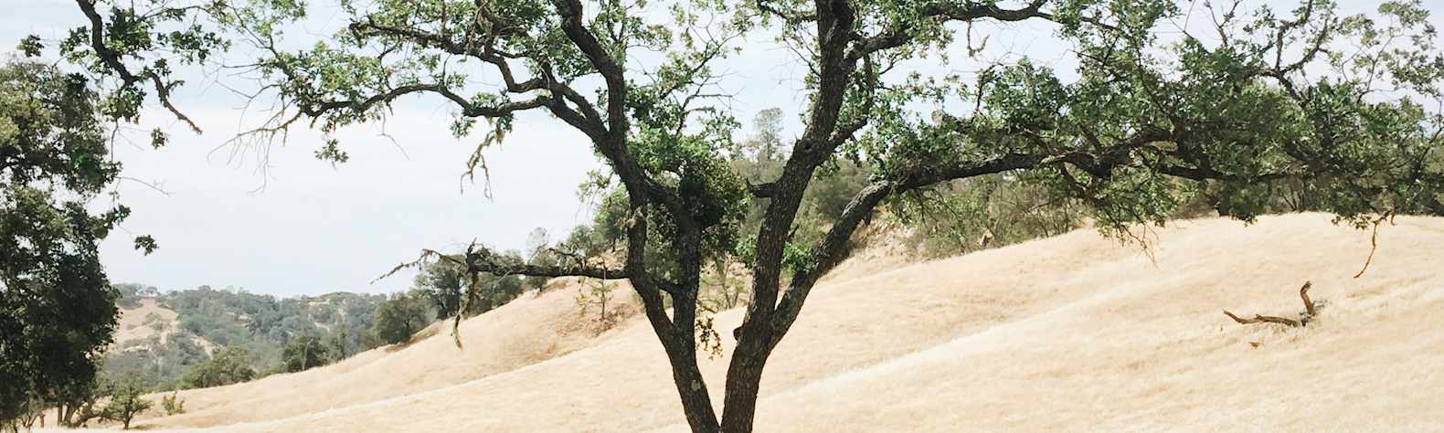 Santa Margarita Lake