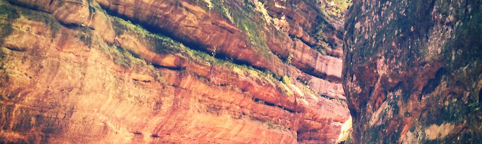 Starved Rock State Park