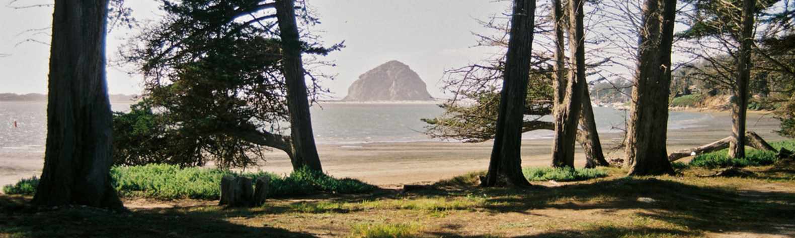 Morro Bay State Park