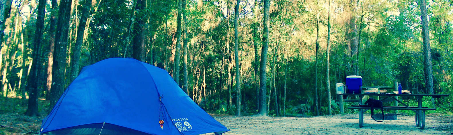 Best Camping in and Near Wekiwa Springs State Park