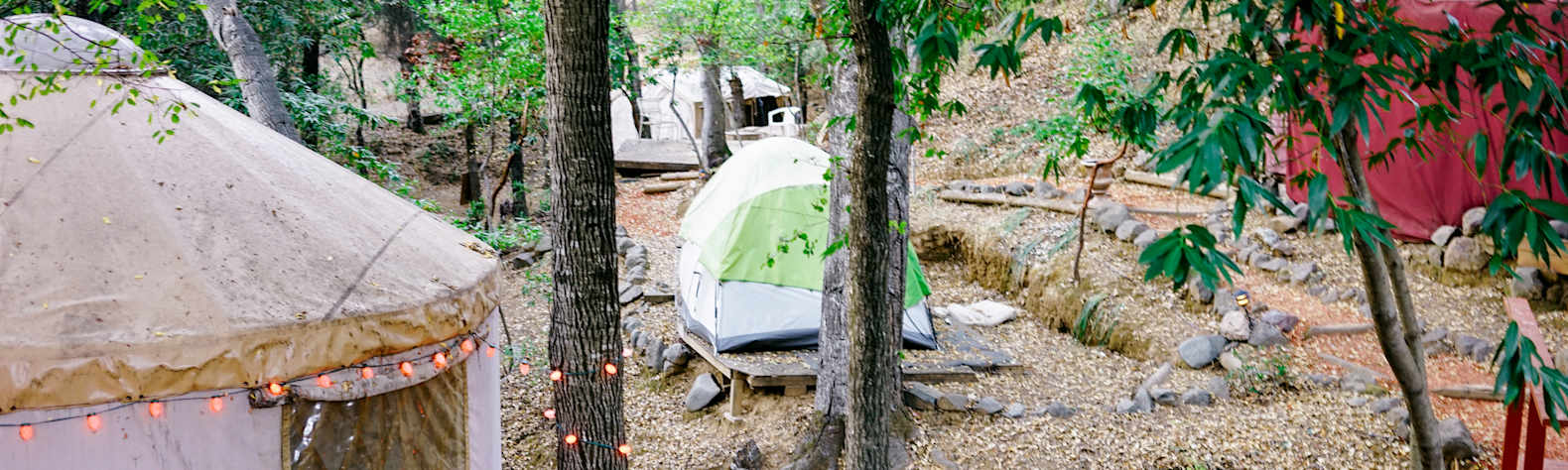 Lupin Lodge S Land Camping