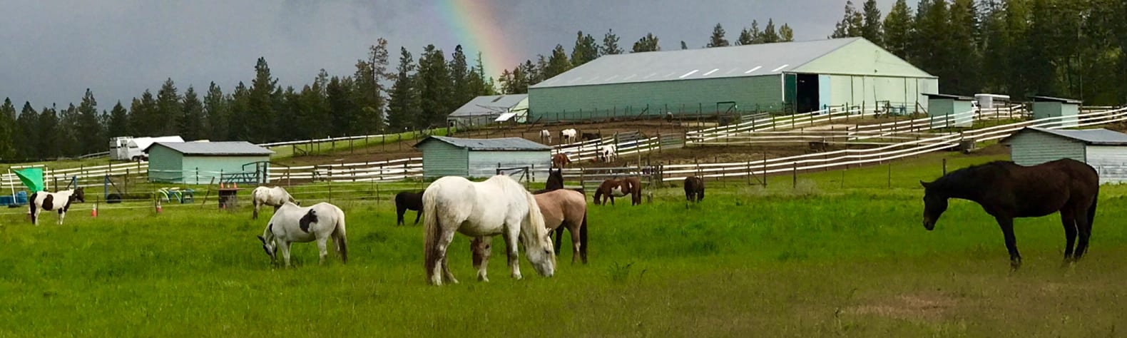 Spokane Western Horse Ranch!
