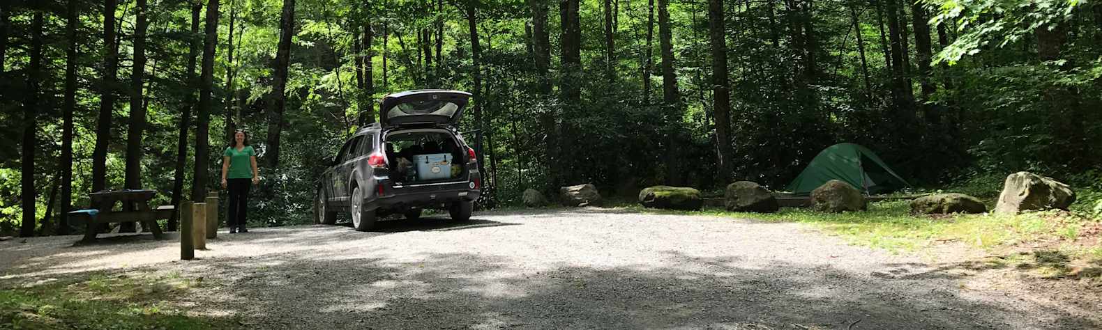 Best Camping in and Near Monongahela National Forest