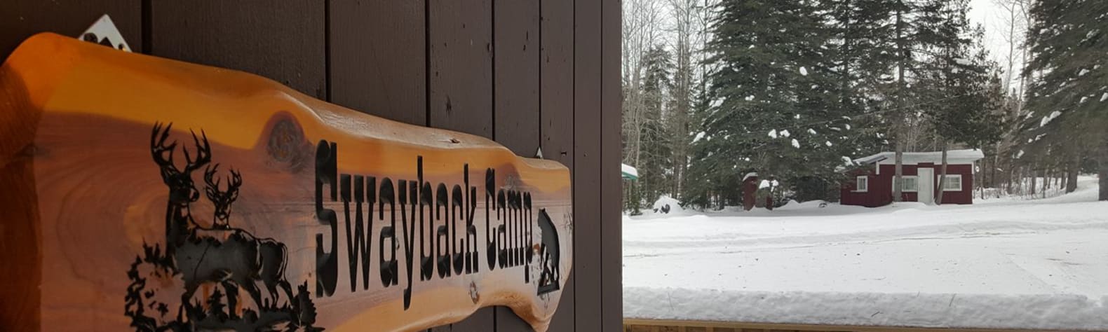 Swayback Camps & Outfitters