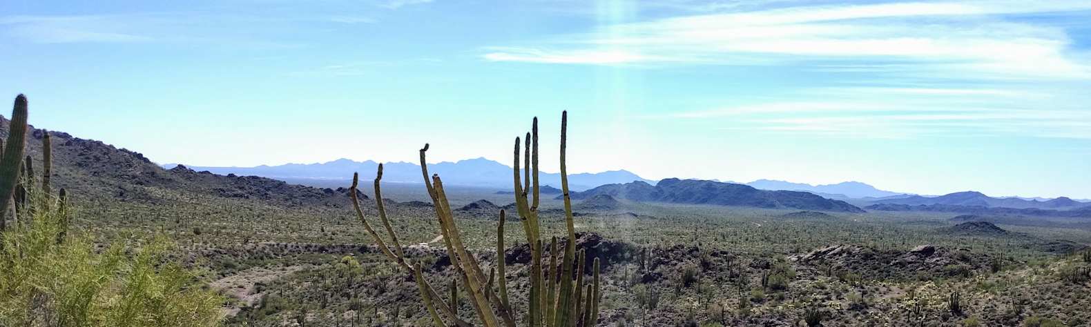 Organ Pipe Cactus National Monument