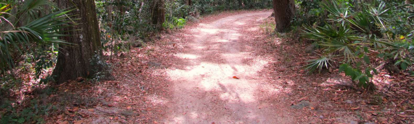 Timucuan Ecological & Historic Preserve