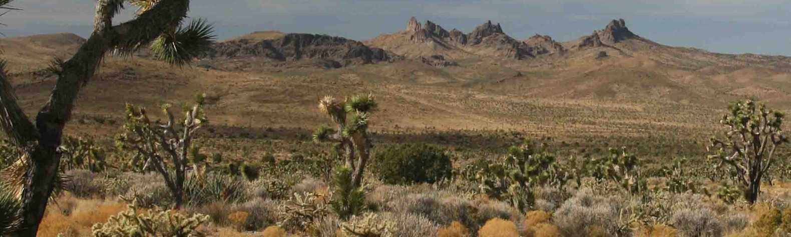 Castle Mountains National Monument