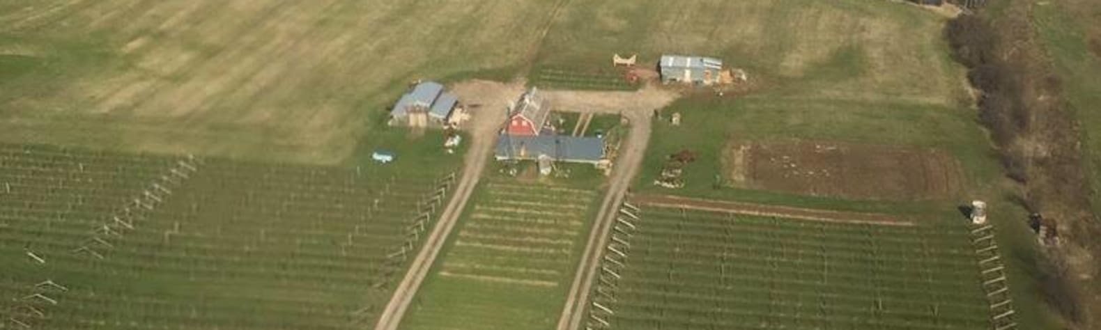Vineyard Farm & Family Camp