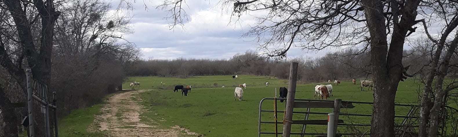 L7 Cattle Ranch Plus