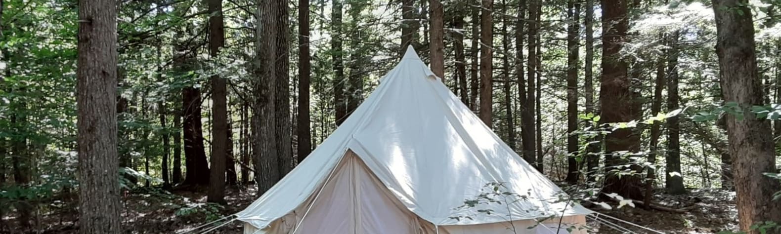 Maine Secluded Yurt-Tent.