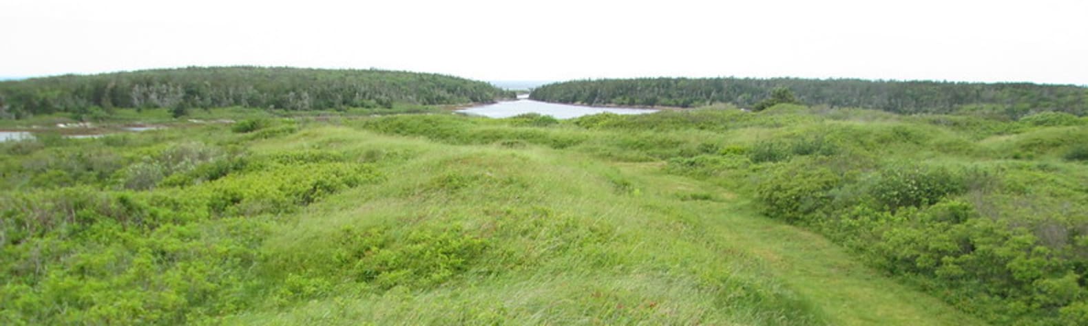 Grassy Island Fort National Historic Site