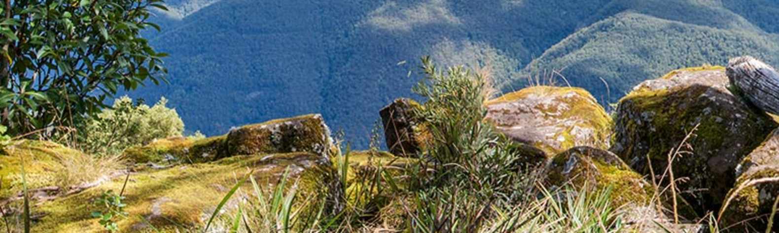 Barrington Tops National Park