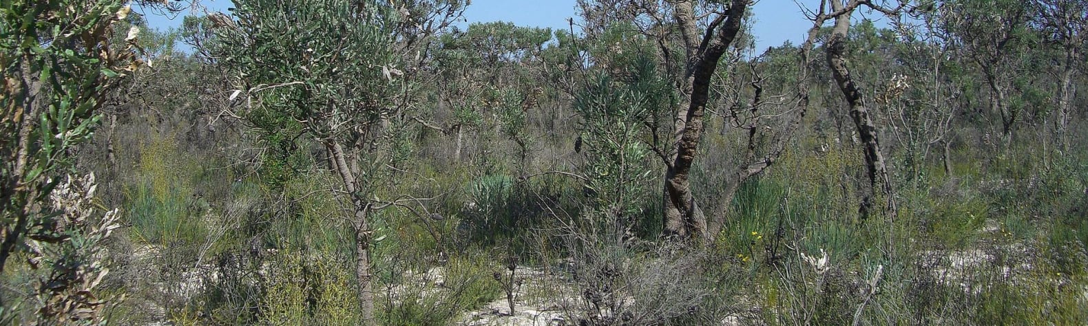 Moore River National Park