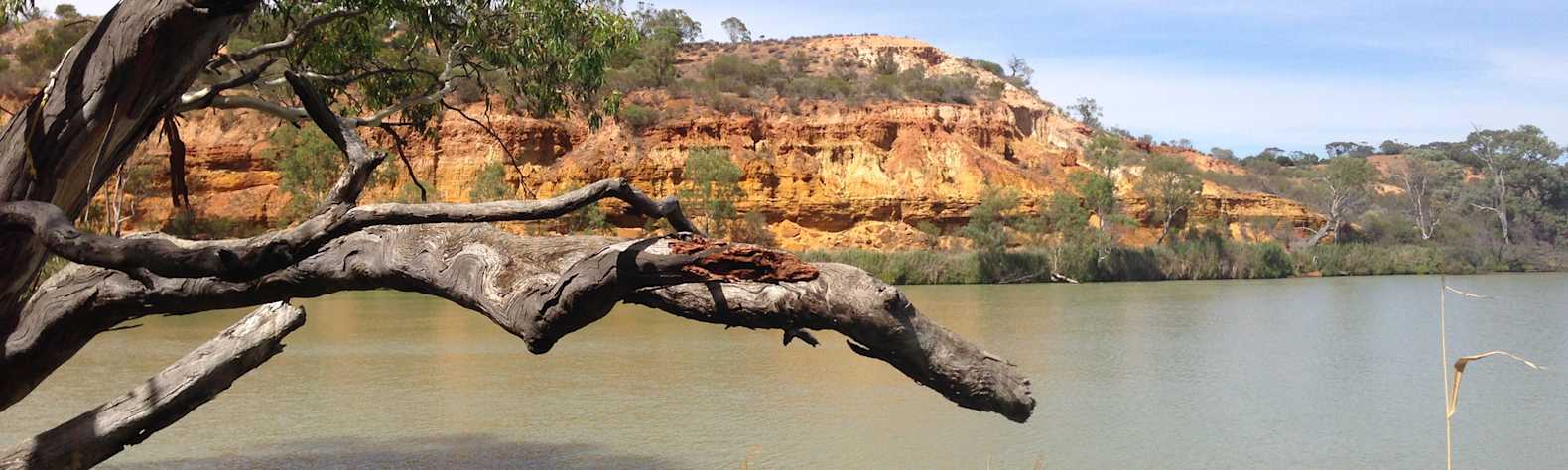 Murray River National Park