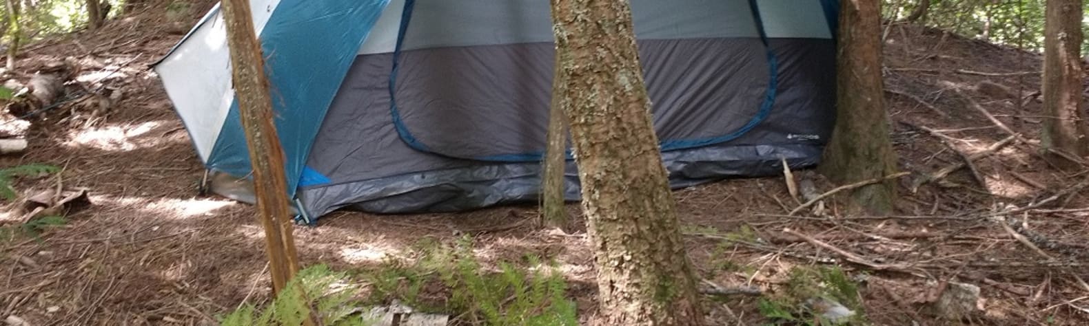 Tent Camping Among the Trees