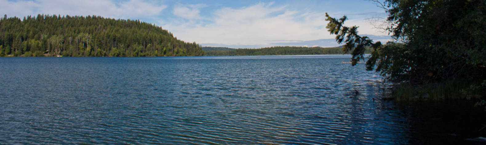 Bridge Lake Provincial Park