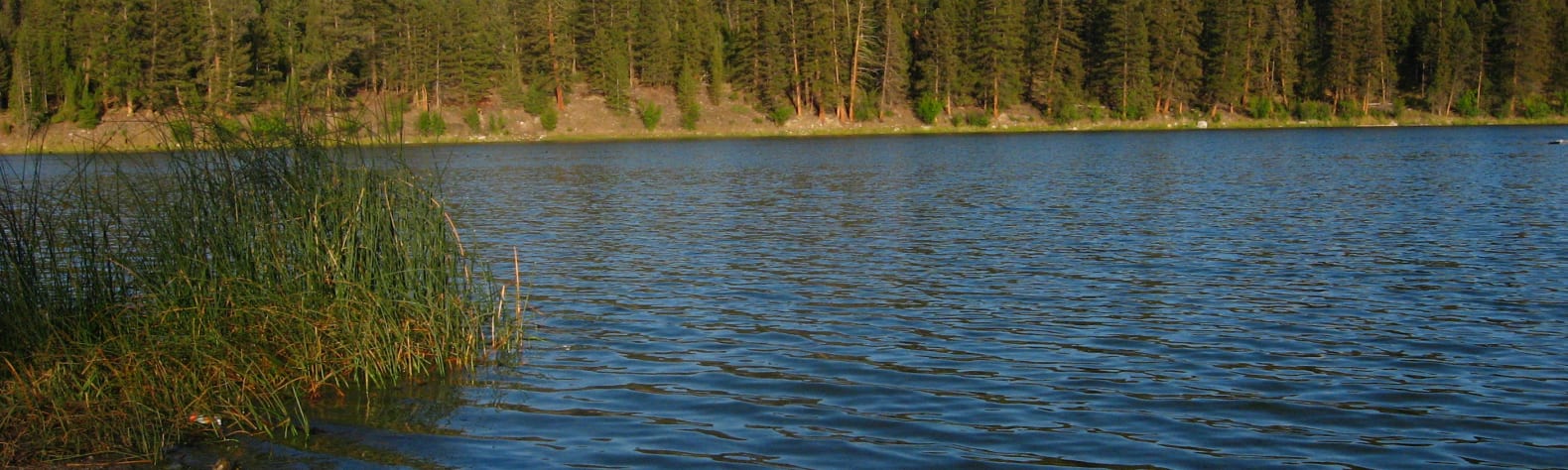 Roche Lake Provincial Park