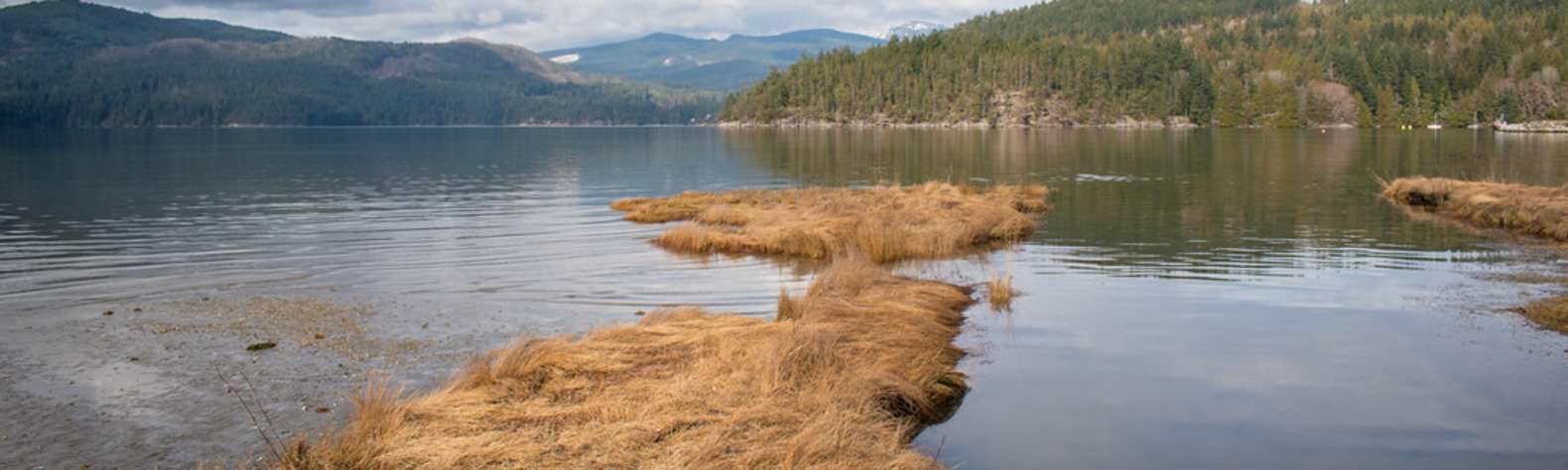 Porpoise Bay Provincial Park