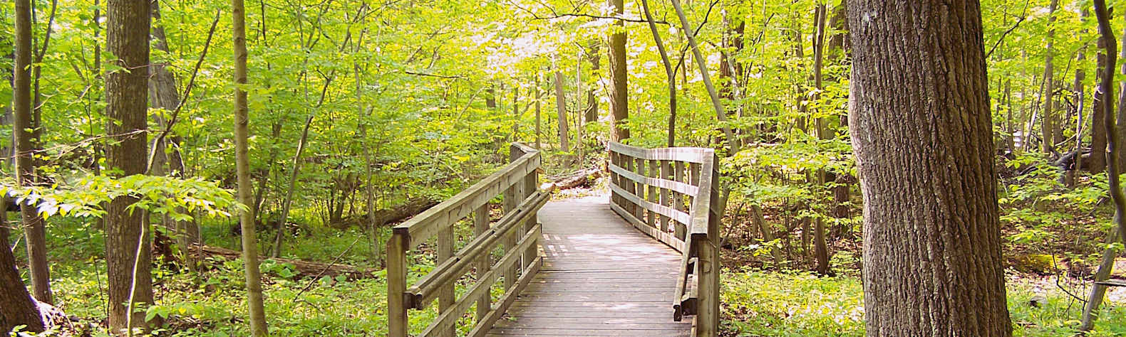 Rondeau Provincial Park