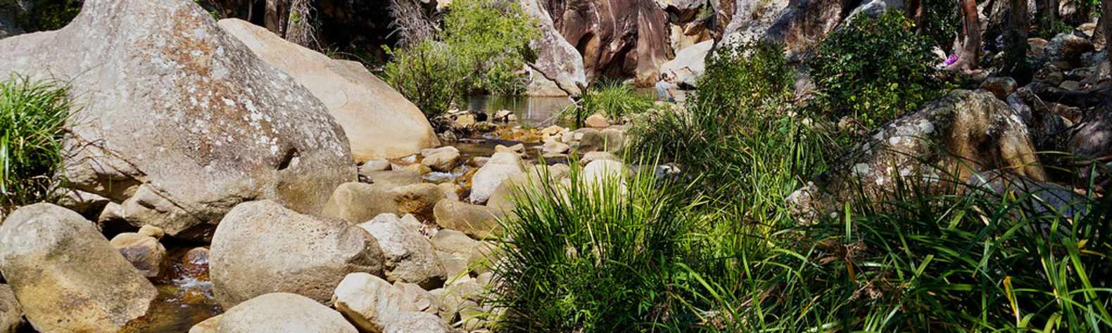 Mount Barney National Park