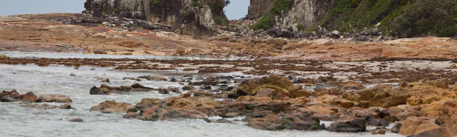 Crowdy Bay National Park