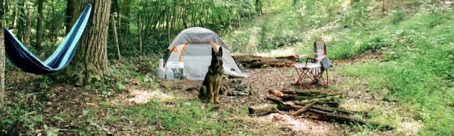 Creekside Camping, Forest & Field