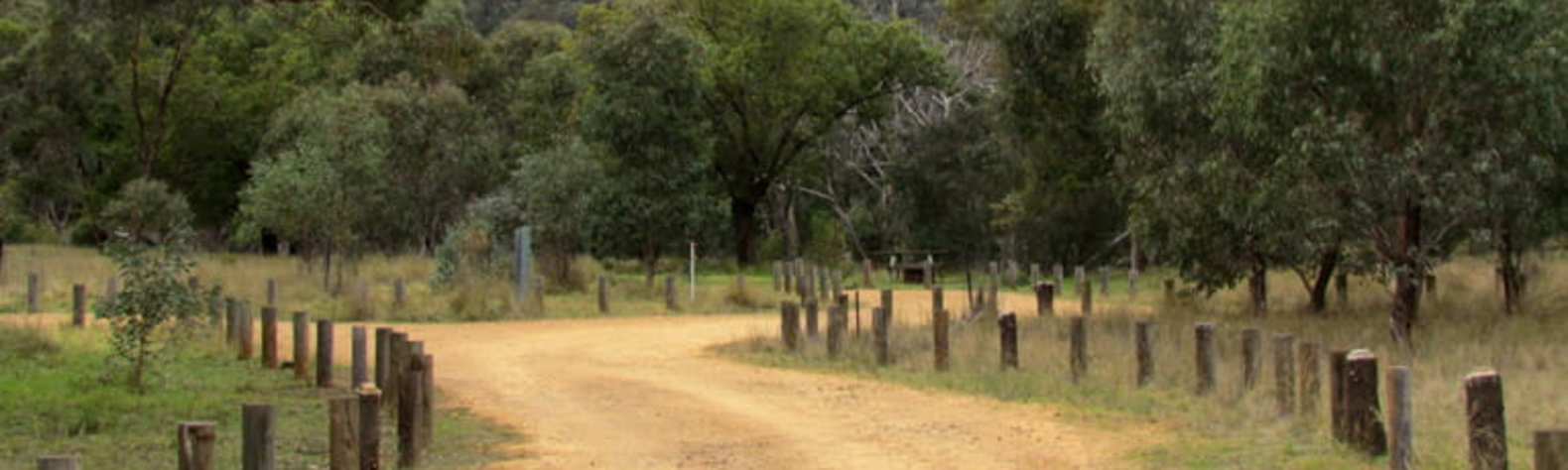 Ben Halls Gap National Park