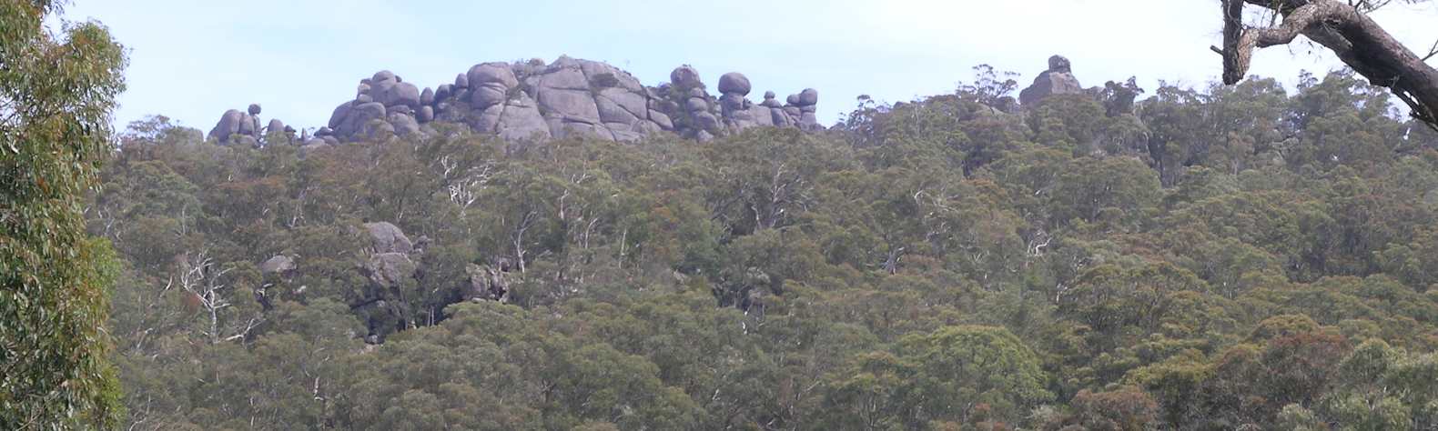 Cathedral Rock National Park