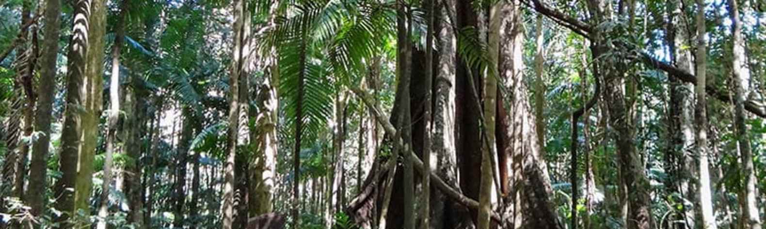 Mebbin National Park