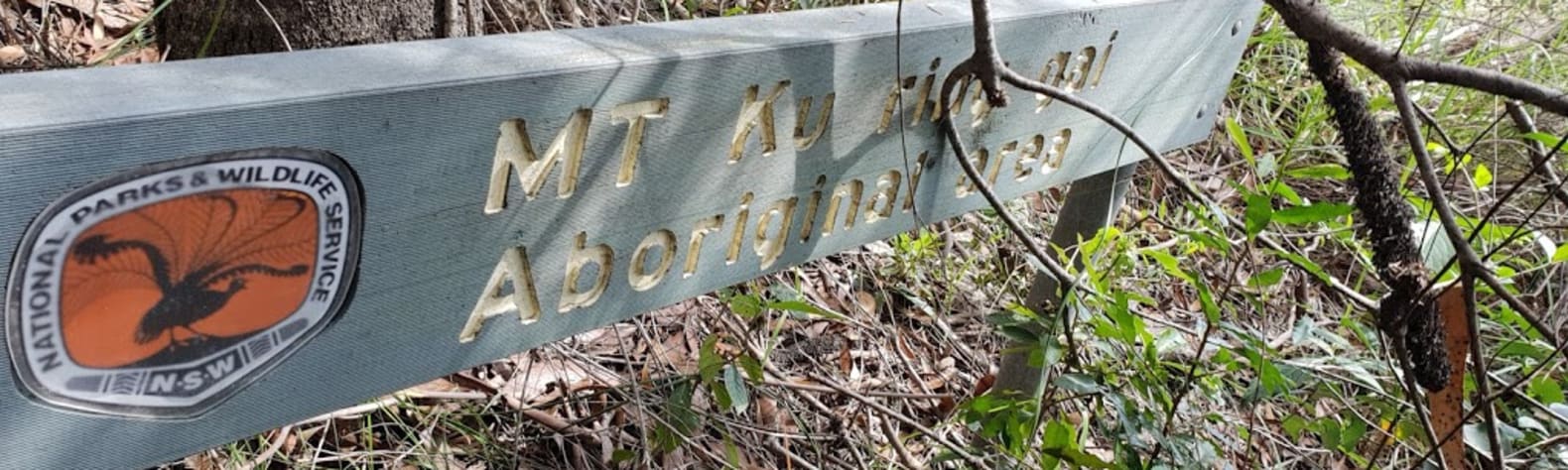 Mount Kuring-gai Aboriginal Area