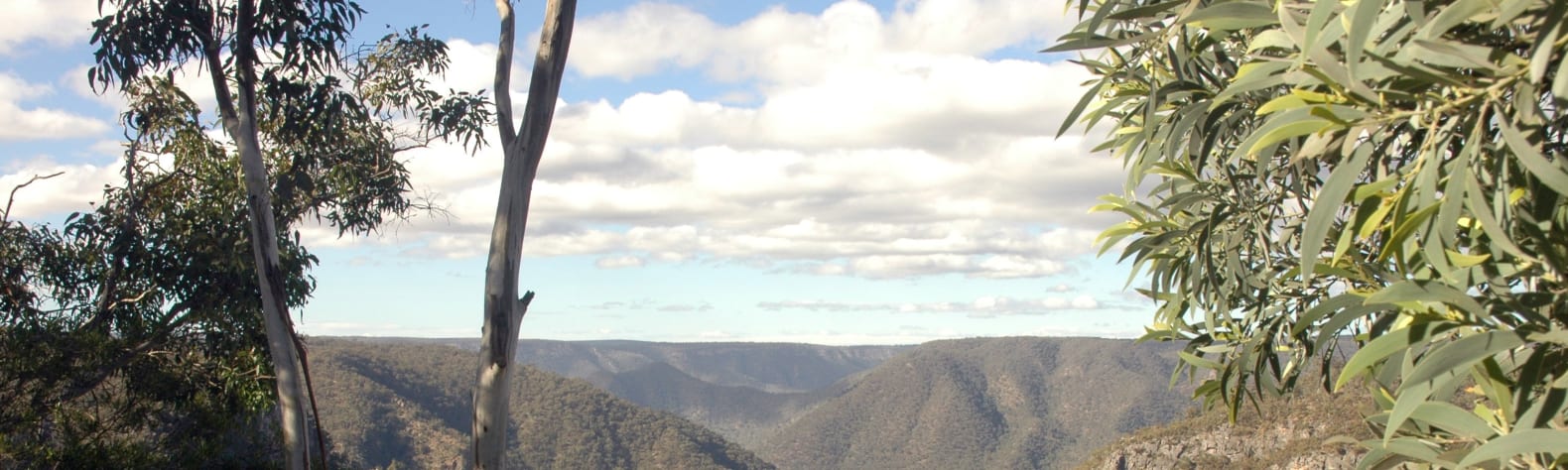 Bungonia State Conservation Area