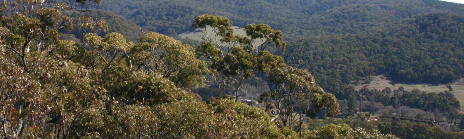 Mount Canobolas State Conservation Area