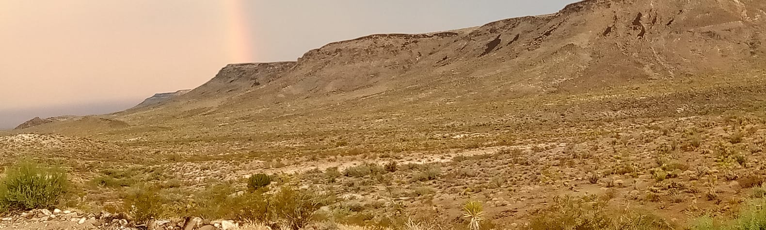 Desert flats ranch