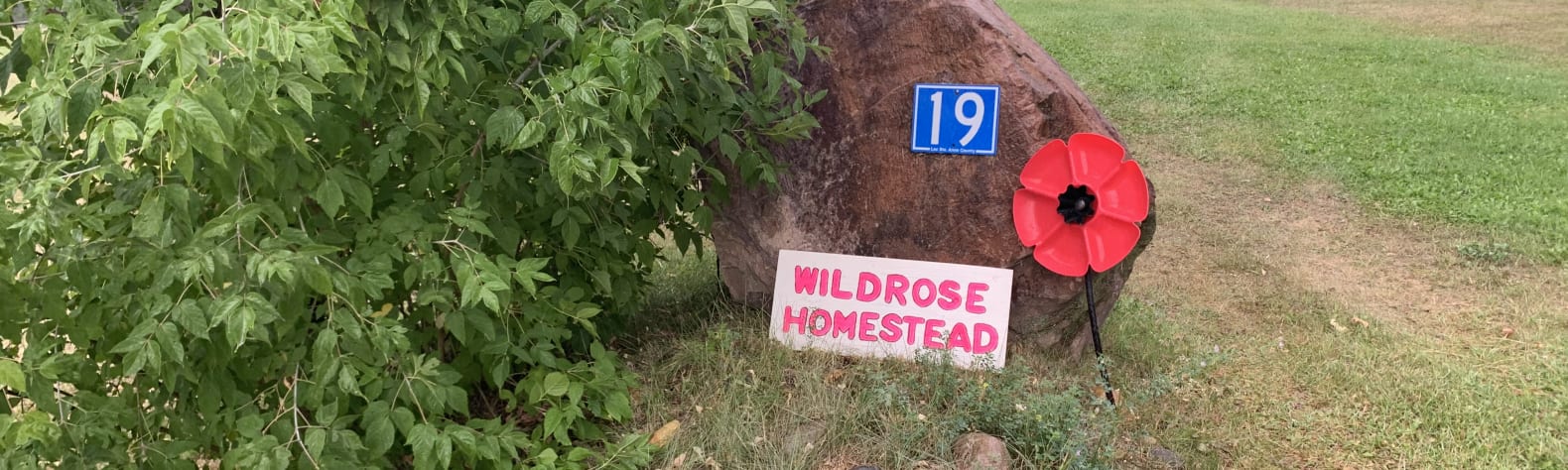 Wildrose Homestead