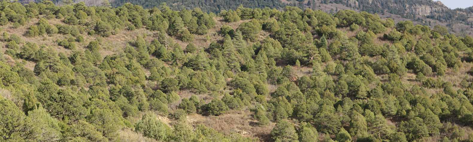 Fishers Peak State Park