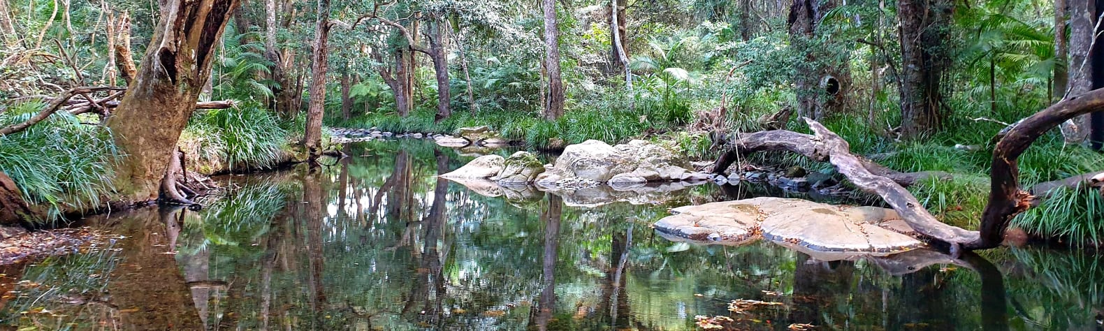 Private Rainforest Creek Camp