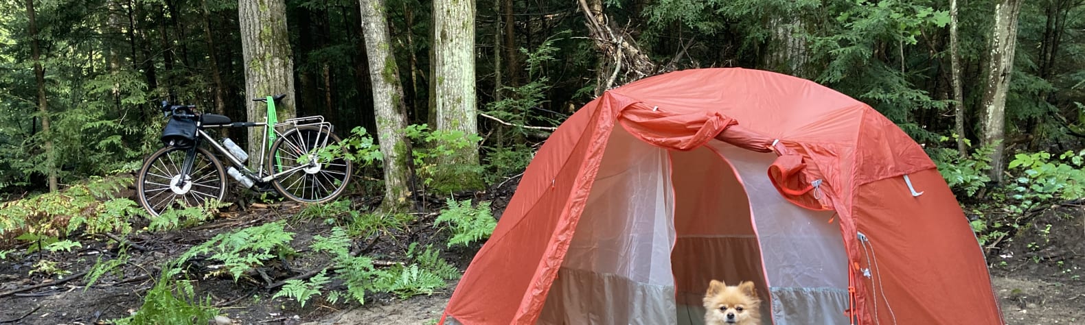 Cedar Creek Camping
