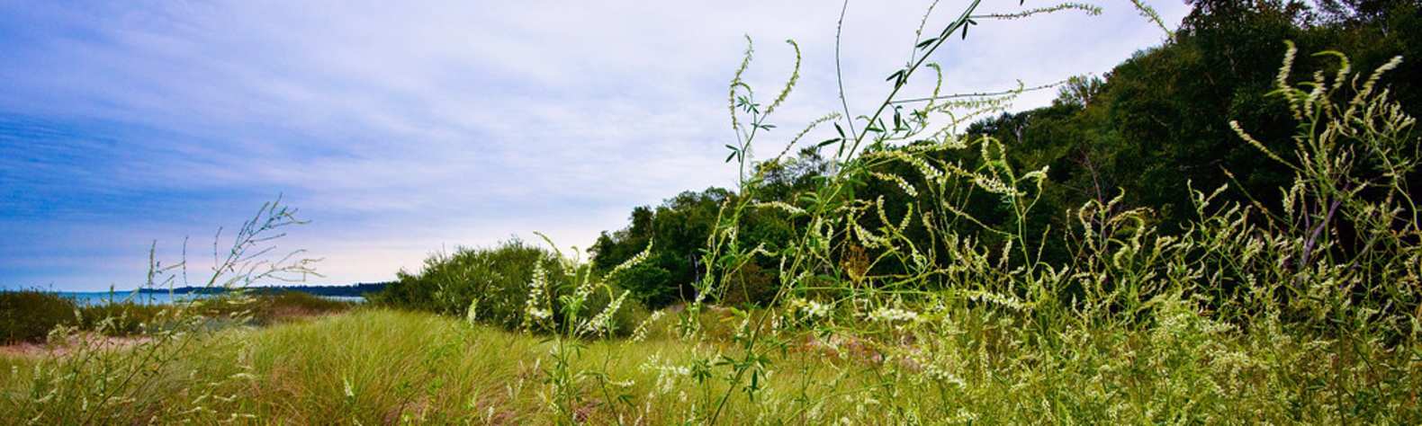 Point Farms Provincial Park